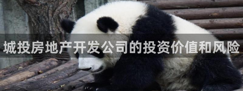 谁知道永利的网址