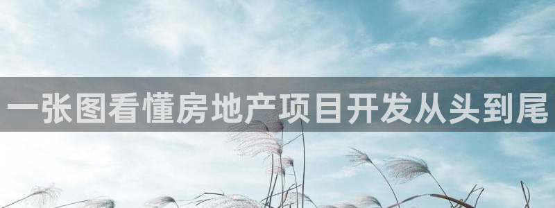 澳门永利陈志玲什么地方人