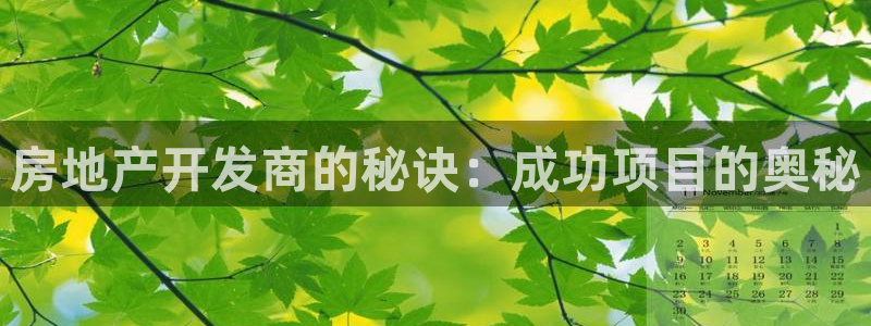 永利网是不是真的便宜