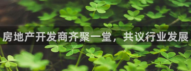 永利皮带型号说明图解