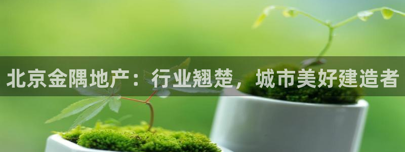 永利表行是正品吗