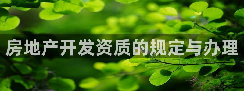 永利公司是干嘛的