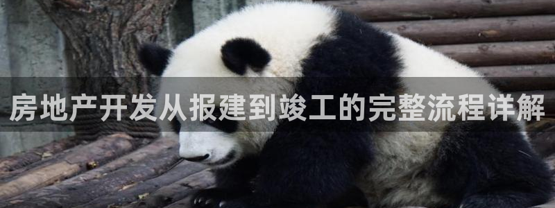 永利官网