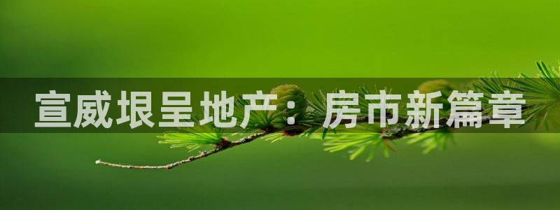 永利网是干什么的,能挣到钱吗安全吗