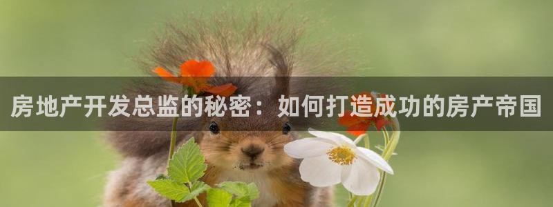 永利资管幕后老板