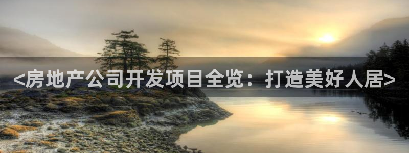 永利带业怎么样