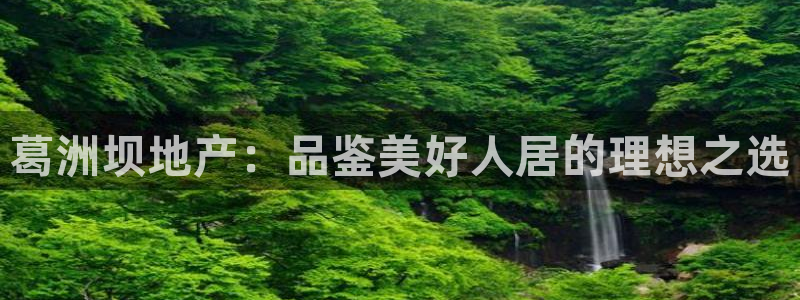 永利股份做什么