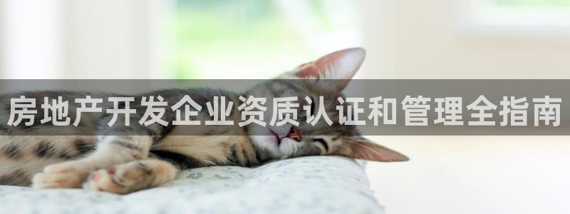 永利铔厂具体地址