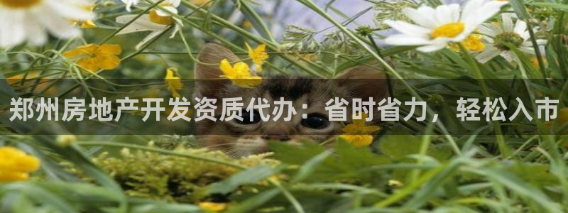 滨州永利篮球俱乐部老板