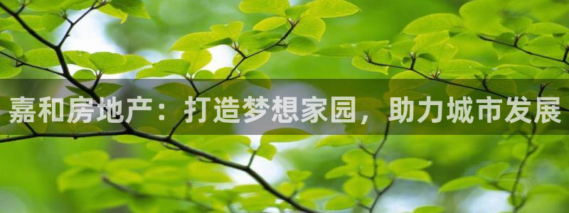 永利保险公司介绍