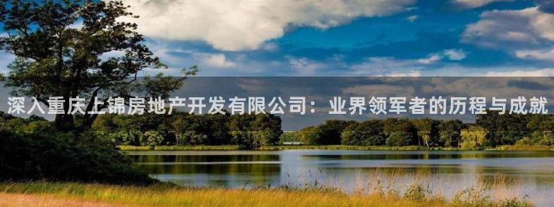 永利汇有什么服务