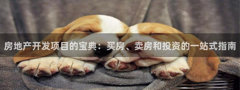 永利股份产品介绍