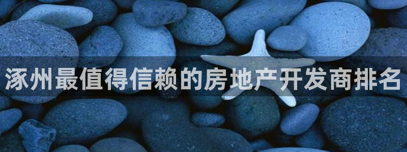 永利公司是做什么的