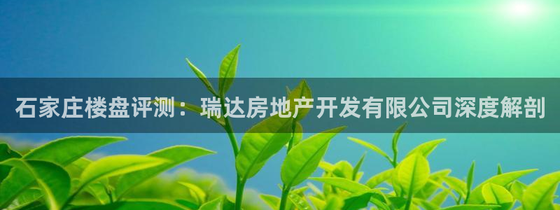 永利集团304am官方入口