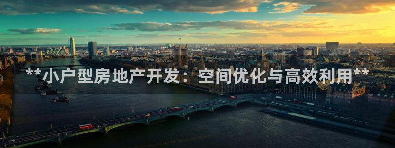 浙江永利集团