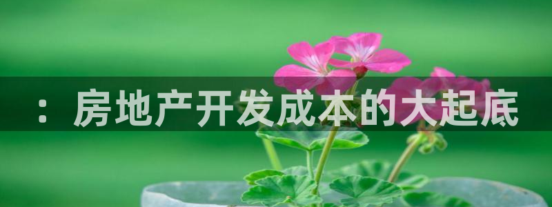 永利股份诊股