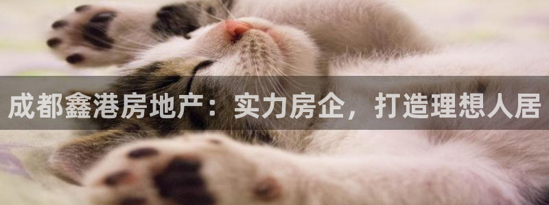 永利链条