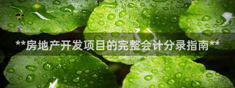 永利输的钱可以弄回来吗安全吗
