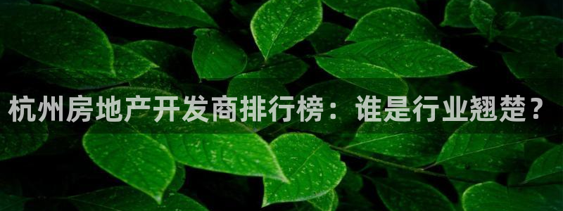 永利玩具厂怎么样