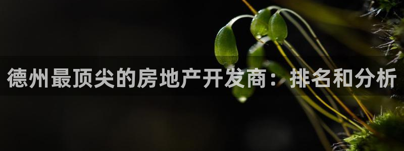 永利布业