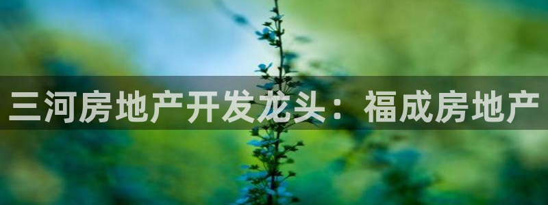 永利官网y