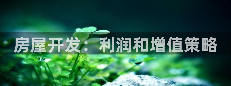 永利网是干什么的,能挣到钱吗知乎