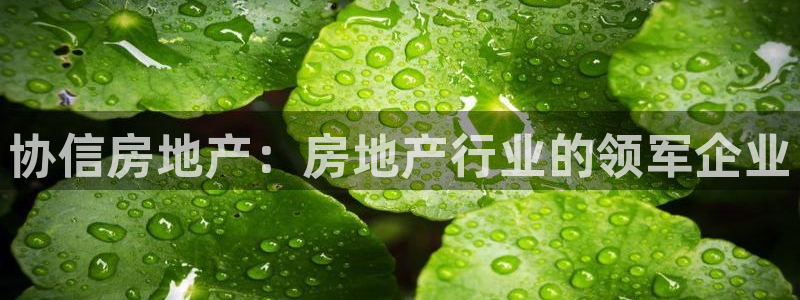 永利胶带批发部怎么样