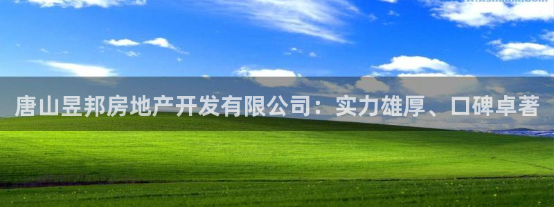 永利网是干什么的,能挣到钱吗安全吗