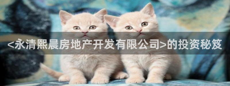 永利充值第三方交易是什么