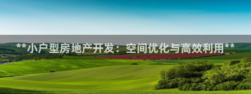 永利置业