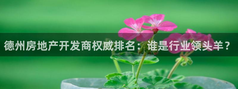 永利输的钱可以弄回来吗现在