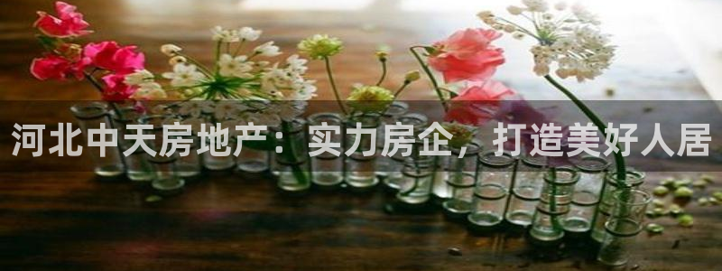 佛山永利工业皮带厂家