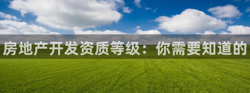 永利传送带业务
