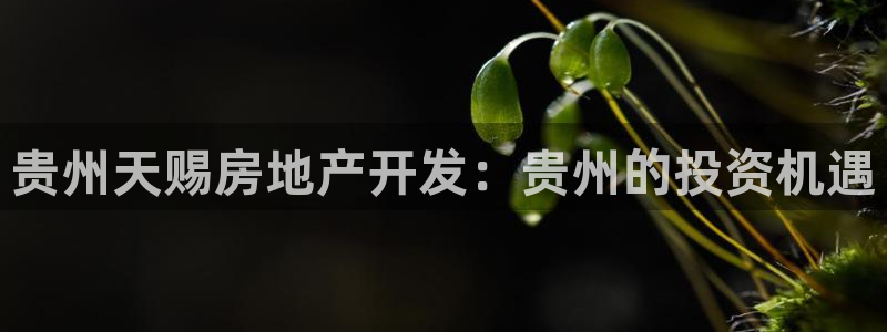 永利乳业