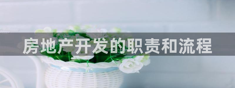 滨州永利篮球俱乐部老板