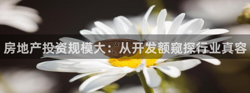永利股份是做什么的