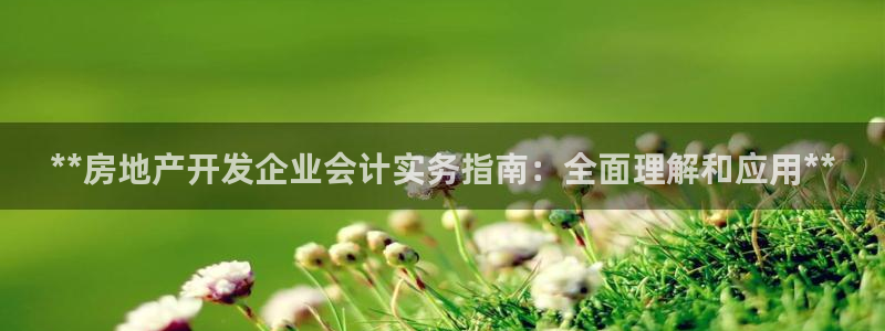 永利房地产开发有限公司