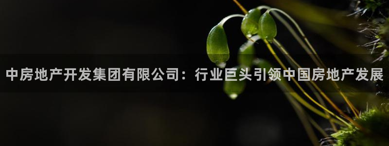 永利制带