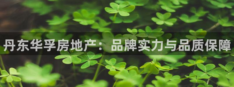 永利皮带型号说明图