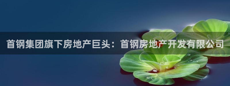 永利股份最新