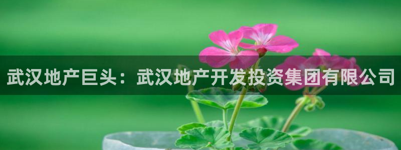永利运动鞋是几几年出的