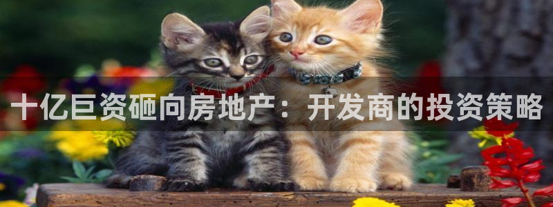 永利背一分什么价格