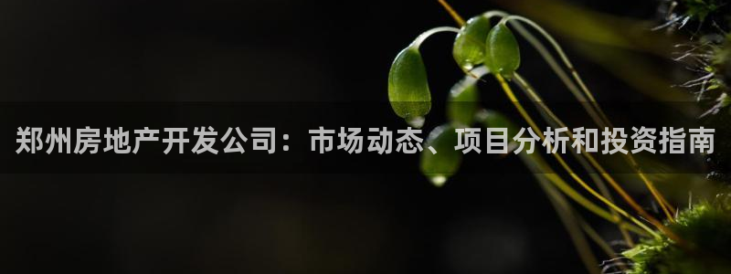 永利运动鞋