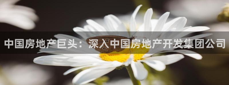 永利百货批发部