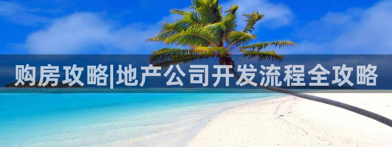 永利皮带报价