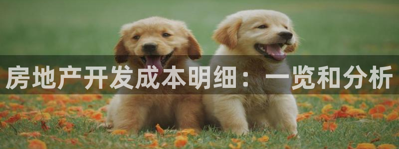永利科技官网