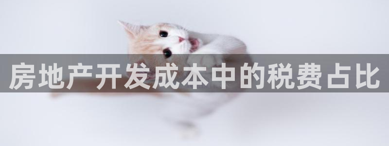 永利胶带厂