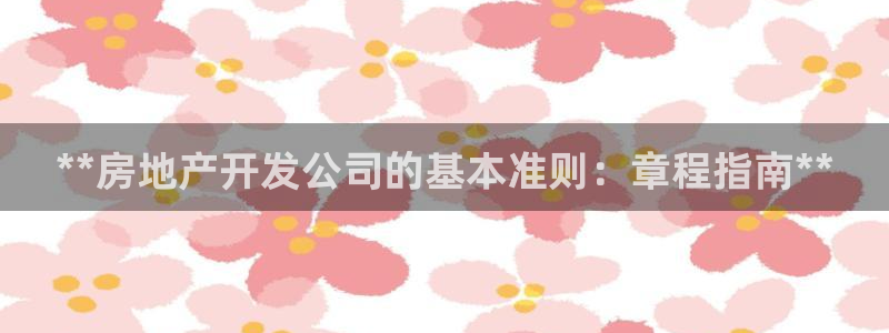 永利皮带型号说明