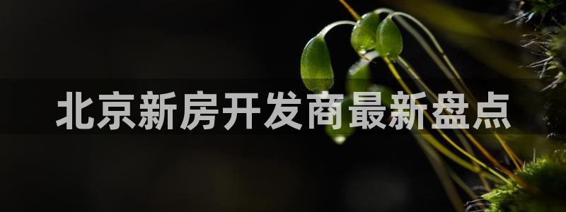 永利背一分什么价格