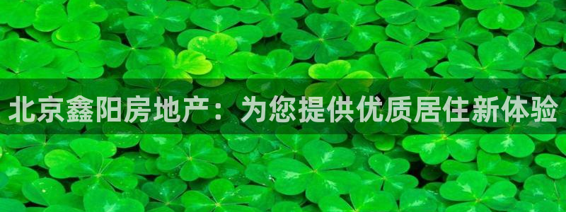 永利皮带官网价格查询系统